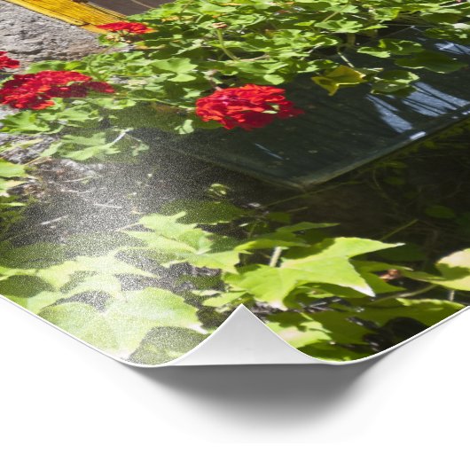 Rood geranium Flowers Box Foto Afdruk (Hoek)