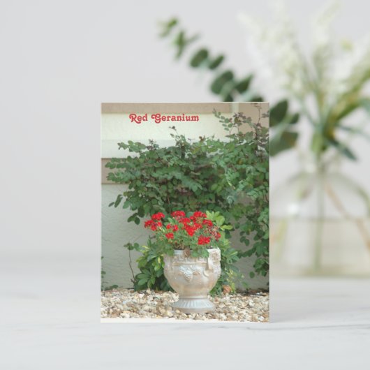 Rood geraniumBriefkaart Briefkaart (Staand voorkant)