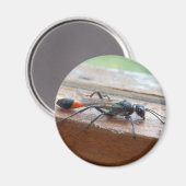 Rood geschuurde zandwasser Magnet (Voorkant / Achterkant)