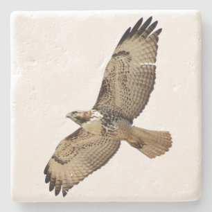 Rood gevangen Hawk Bird Wildlife Animal Stone Onde Stenen Onderzetter