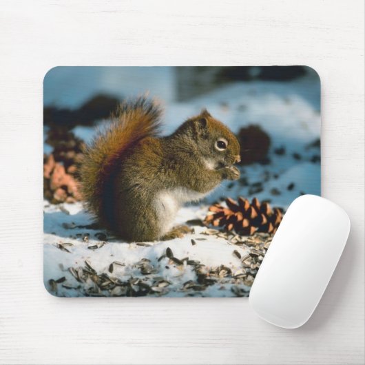 Rood gevlekte eekhoorn muismat (Met muis)