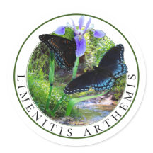 Rood gevlekte Paarse Vlinders en Blauwe Vlag Iris