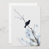 Rood gevleugelde zwarte vogel dankbaarheid/vakanti feestdagenkaart (Voorkant / Achterkant)