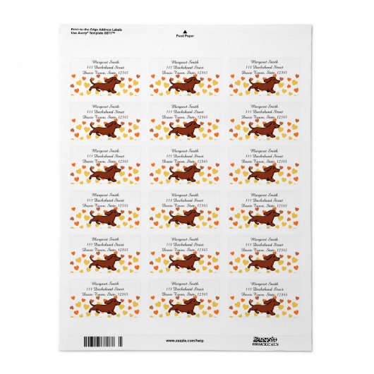 Rood Glad Dachshund Hardlopen Etiket (Full Sheet)