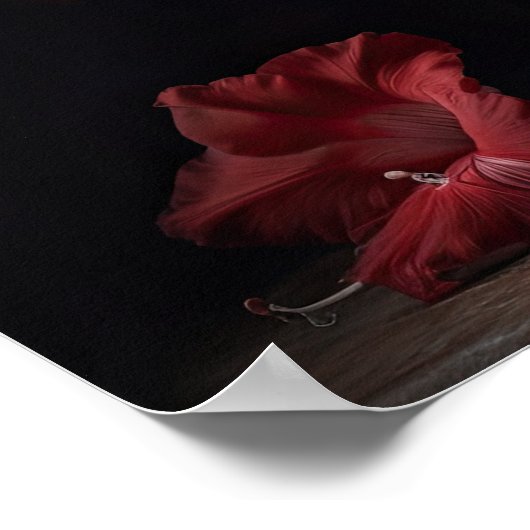 Rood Gladiolus Bloemen Art Print Poster (Hoek)