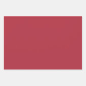 Rood Goud Glam Luipaard Print Inpakpapier Vel (Voorkant 2)