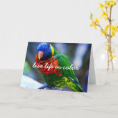 Rood Groen Blauw Vogel Leven in Kleur Script Vet Kaart (Gele Bloem)