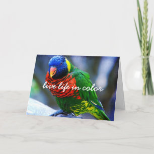 Rood Groen Blauw Vogel Leven in Kleur Script Vet Kaart