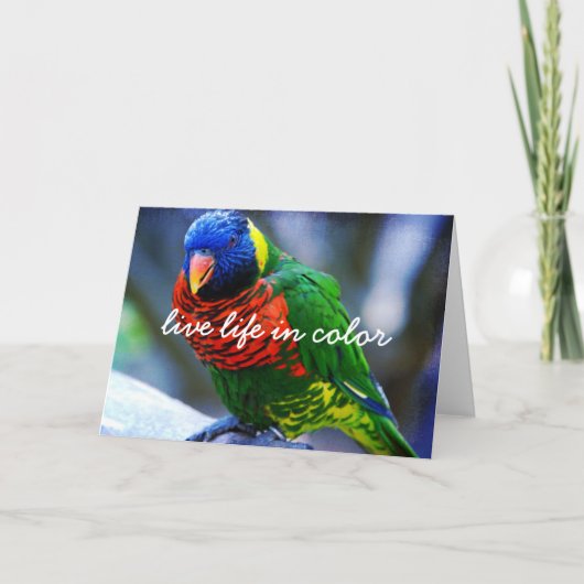 Rood Groen Blauw Vogel Leven in Kleur Script Vet Kaart (Voorkant)