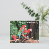 Rood, groen en blauwe papegaaien briefkaart (Staand voorkant)