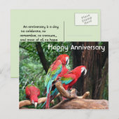 Rood, groen en blauwe papegaaien briefkaart (Voorkant / Achterkant)