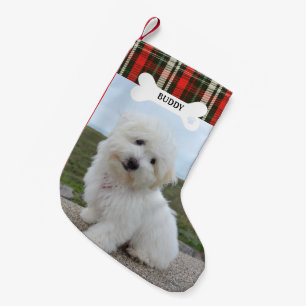 Rood Groen Plaid Rustieke Hond Bone Pet Foto Kleine Kerstsok