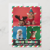 Rood Groen Retro Merry Woofmas Fotocollage Feestdagenkaart (Voorkant)