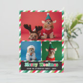 Rood Groen Retro Merry Woofmas Fotocollage Feestdagenkaart (Staand voorkant)