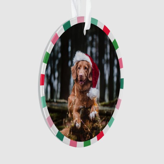 Rood Groen Starburst Stripes Hond Kerstmis Ornament (voorkant)
