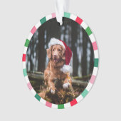 Rood Groen Starburst Stripes Hond Kerstmis Ornament (voorkant)