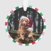 Rood Groen Starburst Stripes Hond Kerstmis Ornament (voorkant)
