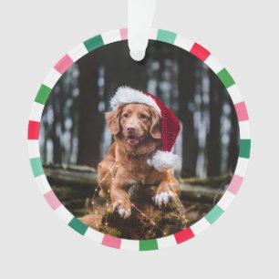 Rood Groen Starburst Stripes Hond Kerstmis Ornament