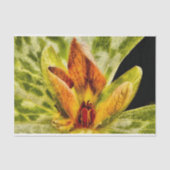 Rood Groen Toadshade Trillium Bud Waterverf Look Tissuepapier (Voorkant)