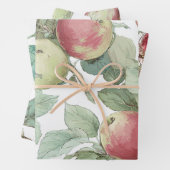 Rood Groene Appelvrucht Patroon Waterverf Rustiek Inpakpapier Vel (In situ)