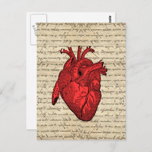 Rood  hart briefkaart (Voorkant / Achterkant)