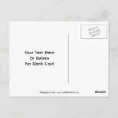  rood hart  Briefkaart (Achterkant)