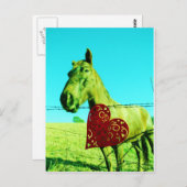 Rood hart en paard briefkaart (Voorkant / Achterkant)