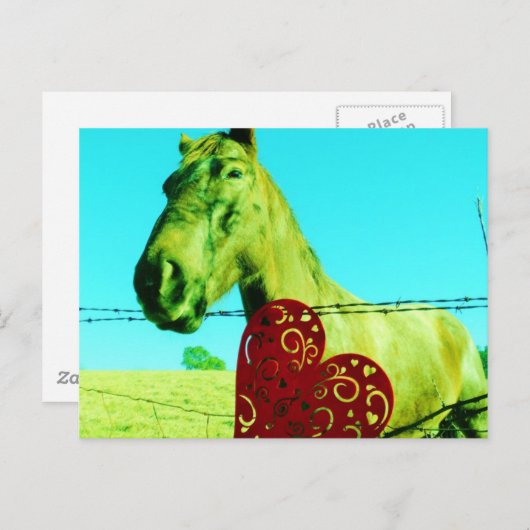 Rood hart en paard briefkaart (Voorkant / Achterkant)
