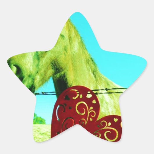 Rood hart en paard ster sticker (Voorkant)