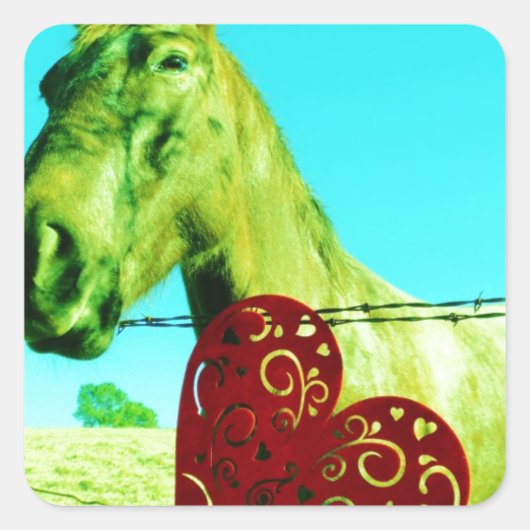 Rood hart en paard vierkante sticker (Voorkant)