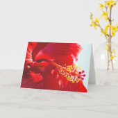 Rood hebiscus, ingegraveerd, vlam kaart (Gele Bloem)