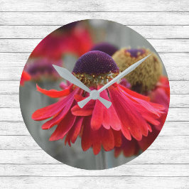 Rood Helenium in selectieve kleuren - ontvet Ronde Klok