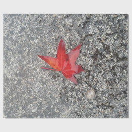 Rood herfst blad in regen op grijze, getextureerde cadeaupapier