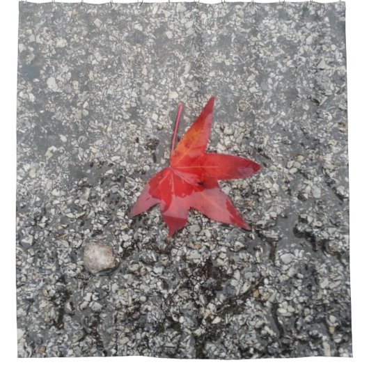 Rood herfst blad in regen op grijze, getextureerde douchegordijn (Voorkant)
