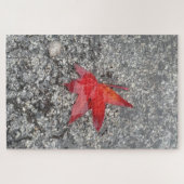 Rood herfst blad in regen op grijze, getextureerde legpuzzel (Horizontaal)