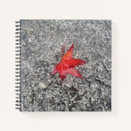 Rood herfst blad in regen op grijze, getextureerde notitieboek