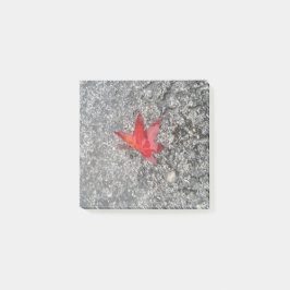 Rood herfst blad in regen op grijze, getextureerde post-it® notes