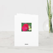 ROOD HIBISCUS/BLOEMIG/"HEEL ERG BEDANKT" KAART (Achterkant)