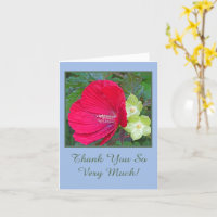 ROOD HIBISCUS/BLOEMIG/"HEEL ERG BEDANKT"