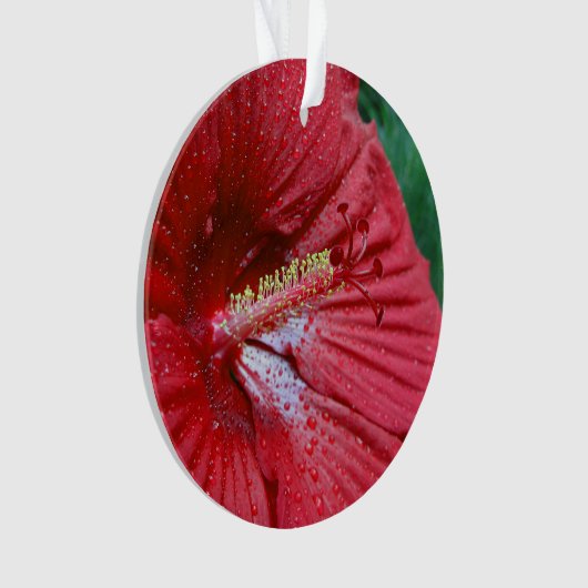 Rood Hibiscus met regendruppels Ornament (voorkant)