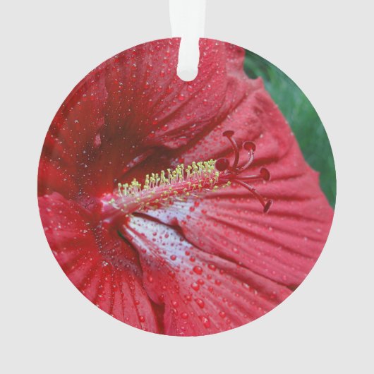 Rood Hibiscus met regendruppels Ornament (achterkant)
