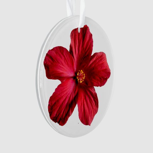 Rood Hibiscus-ventilator AcrylOrnament Ornament (voorkant)