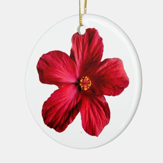 Rood Hibiscus-ventilatorcirculatie Ornament (Links)