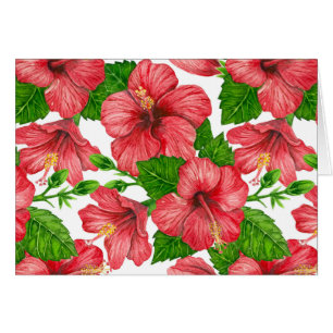 Rood hibiscus waterverf patroon