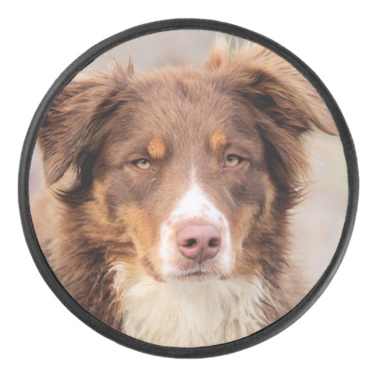 Rood Hockey Puck (Voorkant)
