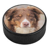 Rood Hockey Puck (3/4)