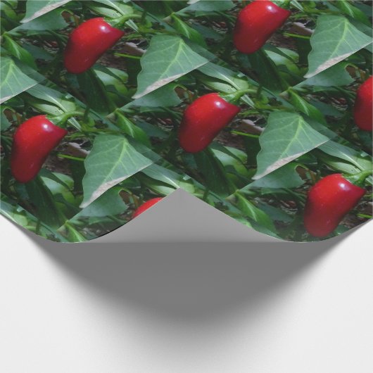 Rood, hot-pluggable papier (Hoek)