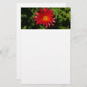 Rood IJzerblazer, kleurrijk tapijt Plant Briefpapier (Voorkant / Achterkant)