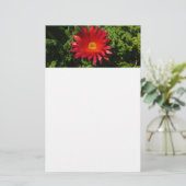 Rood IJzerblazer, kleurrijk tapijt Plant Briefpapier (Staand voorkant)