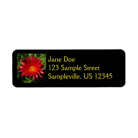 Rood IJzerblazer, kleurrijk tapijt Plant Etiket (Voorkant)